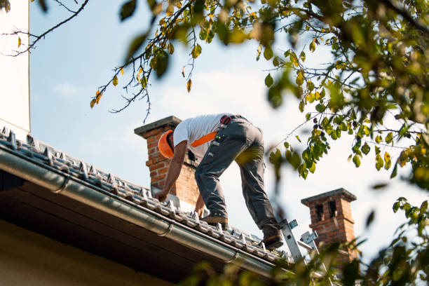 Professional Roofing Contractor in Ferndale, CA