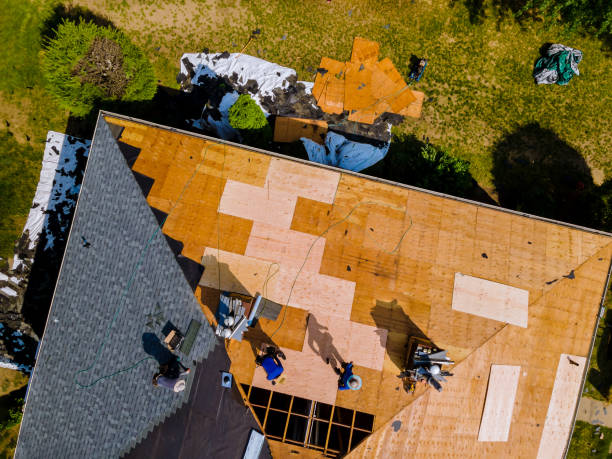 Best Gutter Installation and Roofing  in Ferndale, CA