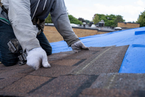 Professional Roofing Contractor in Ferndale, CA